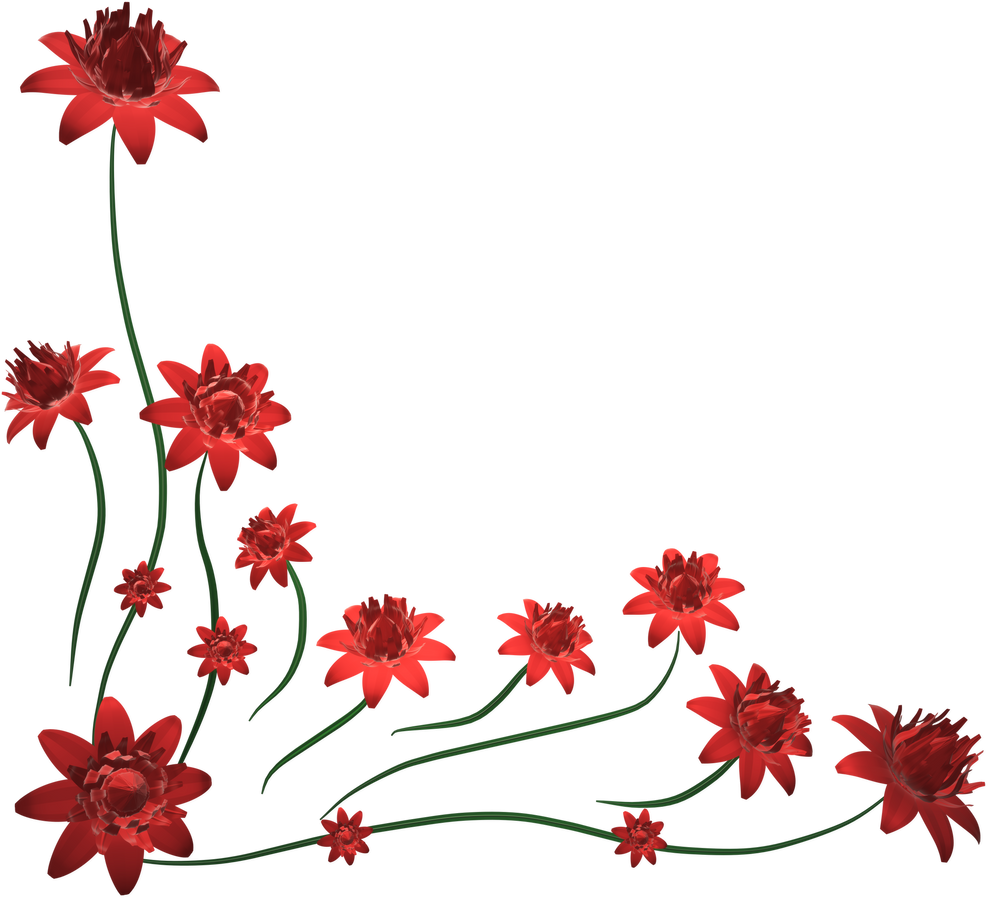 3D Flowers red